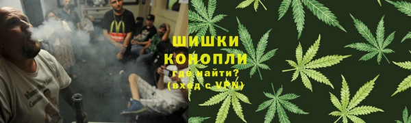 СК Нягань