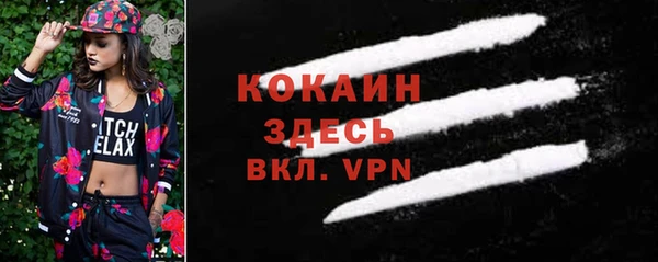 ПСИЛОЦИБИНОВЫЕ ГРИБЫ Няндома