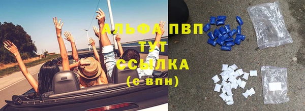 сатива Новодвинск