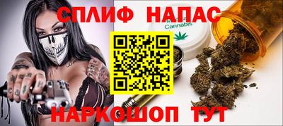 молекула духа Сланцы