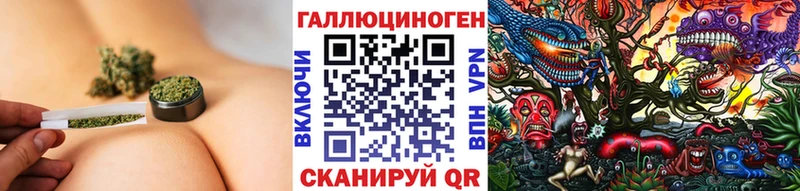 Псилоцибиновые грибы Psilocybe  купить   Шахты 