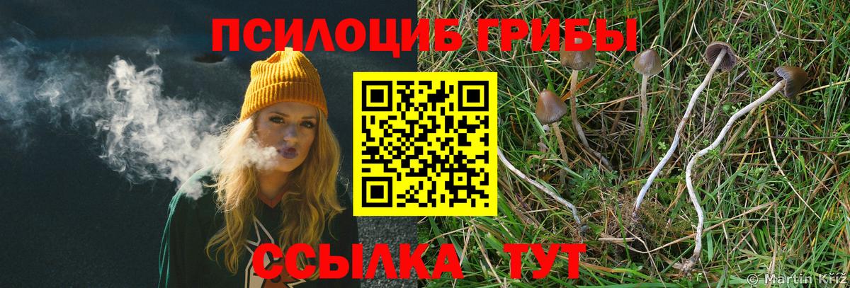 Галлюциногенные грибы прущие грибы Шахты
