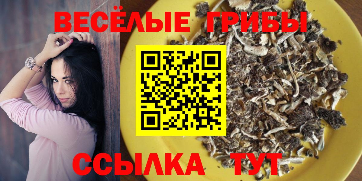 Шахты  Псилоцибиновые грибы прущие грибы  Вход с VPN 