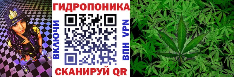 Конопля план  Шахты 